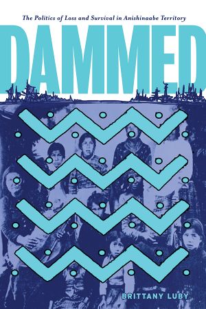 Dammed: The Politics of Loss and Survival in Anishinaabe Territory (Critical Studies in Native History)
