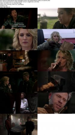 Supernatural S14 720p AMZN WEBRip DDP5.1 x264-NTG