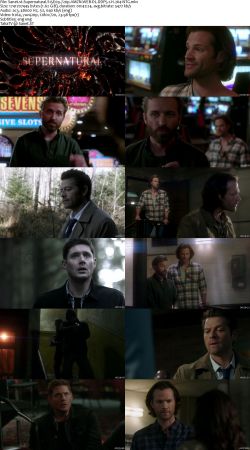 Supernatural S15 720p AMZN WEBRip DDP5.1 x264-NTG