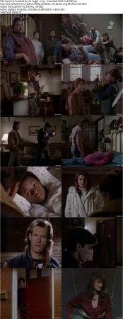 Touched By An Angel S01 DVDRip XVID MP3-NOGRP