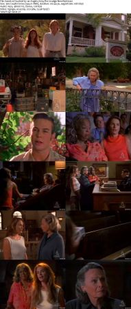 Touched By An Angel S07 DVDRip XVID MP3-NOGRP