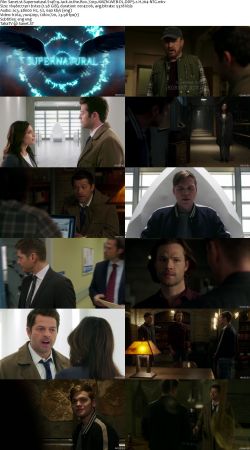 Supernatural S14 720p AMZN WEBRip DDP5.1 x264-NTG
