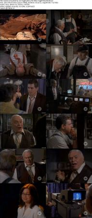 Touched By An Angel S08 DVDRip XVID MP3-NOGRP