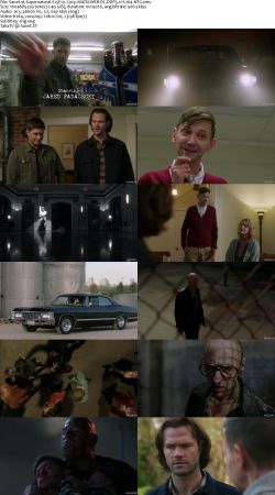 Supernatural S15 720p AMZN WEBRip DDP5.1 x264-NTG