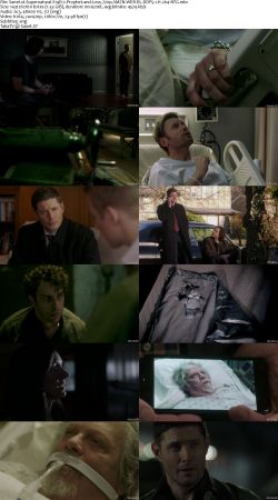 Supernatural S14 720p AMZN WEBRip DDP5.1 x264-NTG