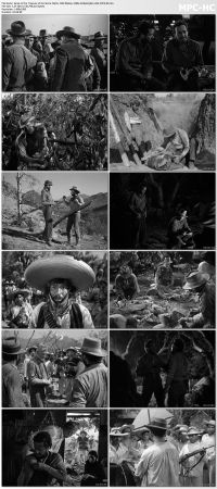 The Treasure of the Sierra Madre 1948 BluRay 1080p DD2.0 x264-D3FiL3R