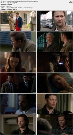 Supernatural S13 BluRay 10Bit 1080p DD5.1 H265-d3g