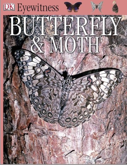 Eyewitness: Butterfly & Moth (Eyewitness Books)