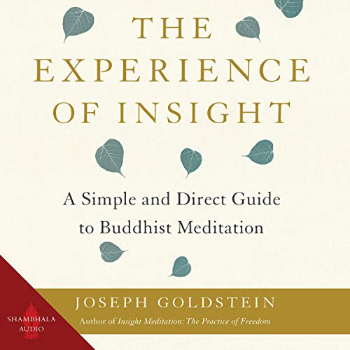 The Experience of Insight: A Simple and Direct Guide to Buddhist Meditation [Audiobook]