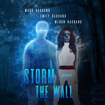 Storm and the Wall [Audiobook]