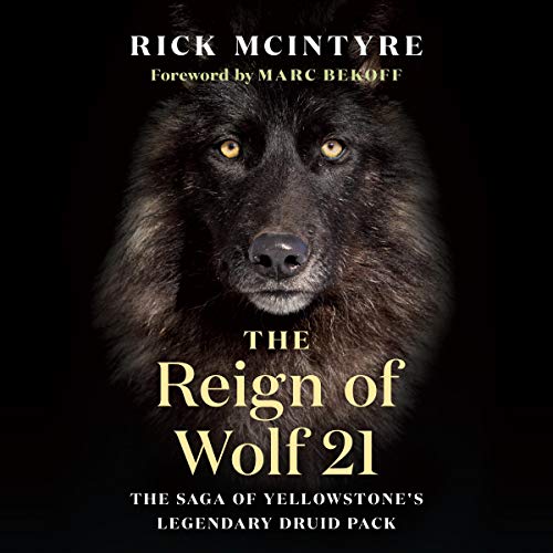 The Reign of Wolf 21: The Saga of Yellowstone's Legendary Druid Pack [Audiobook]