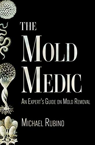 The Mold Medic: An Expert's Guide on Mold Removal