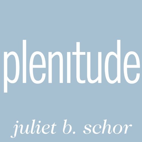 Plenitude: The New Economics of True Wealth [Audiobook]