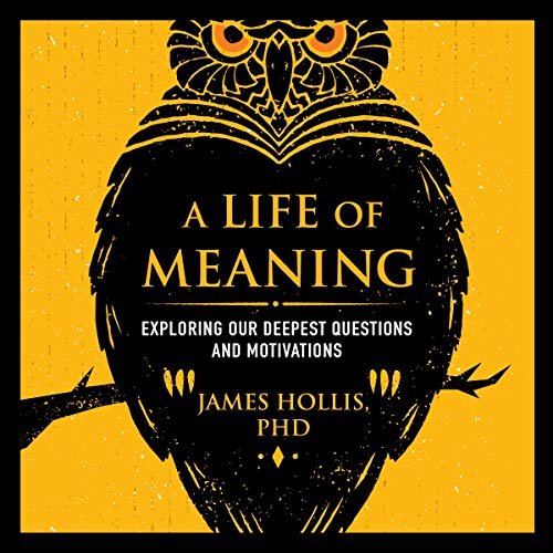 A Life of Meaning: Exploring Our Deepest Questions and Motivations [Audiobook]