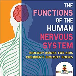 The Functions of the Human Nervous System   Biology Books for Kids