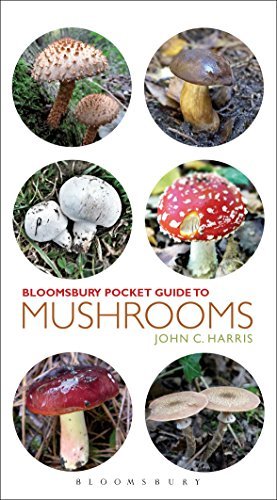 Pocket Guide to Mushrooms [True EPUB]