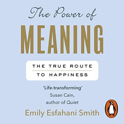 The Power of Meaning: Crafting a life that matters (Audiobook)