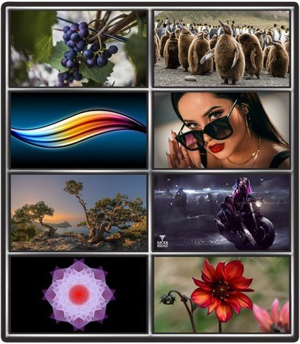 Collection wallpapers to your desktop #927