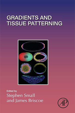 Gradients and Tissue Patterning