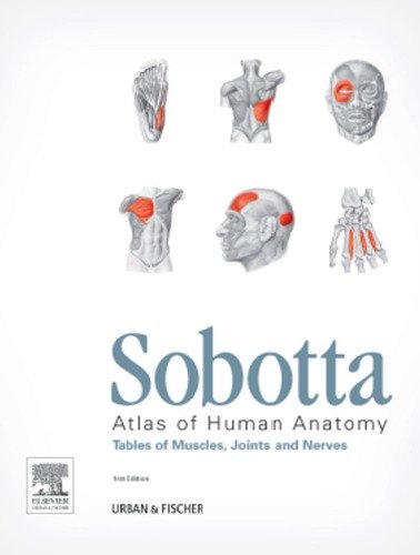 Sobotta Atlas of human anatomy: Tables of Muscles, Joints and Nerves, Vol 1 to 3, 15th edition
