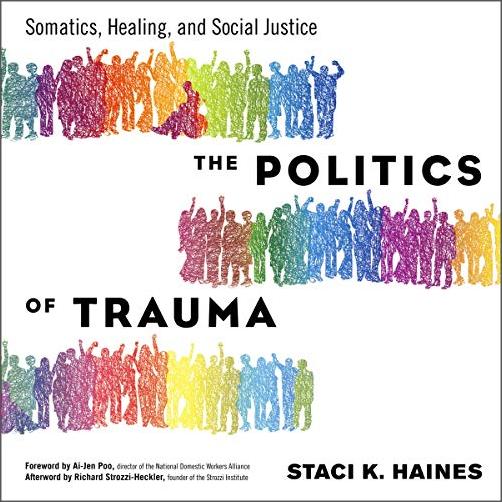 The Politics of Trauma: Somatics, Healing, and Social Justice [Audiobook]