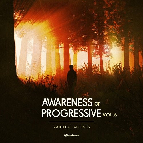 VA   Awareness of Progressive Vol.6 (2020)