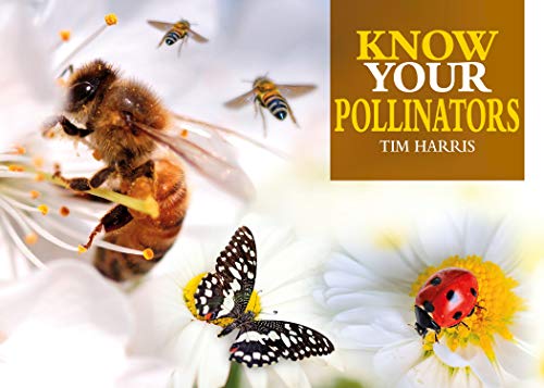 Know Your Pollinators: 40 Common Pollinating Insects including Bees, Wasps, Flower Flies, Butterflies, Moths, & Beetles