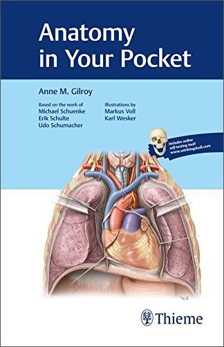 Anatomy in Your Pocket (Thieme Atlas of Anatomy)