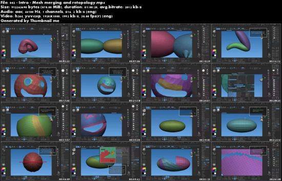 3D Fanart Production Course