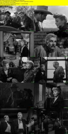 The Furies 1950 WEBRip x264-ION10