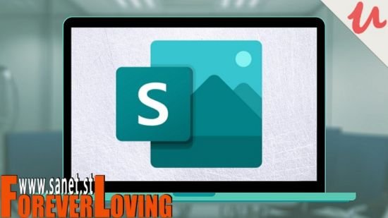 Learning Microsoft Sway from Scratch
