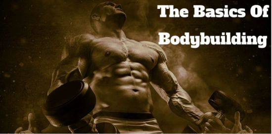 The Basics Of Bodybuilding : For Beginners