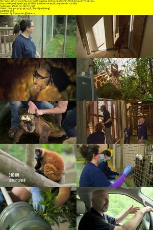 Secrets of the Zoo North Carolina S01 WEBRip AAC2.0 x264-CAFFEiNE