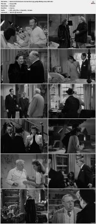 Christmas In Connecticut 1945 480p BluRay x264-mSD