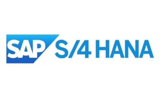 Download SAP S/4 HANA : Master Data Simplifications - SoftArchive