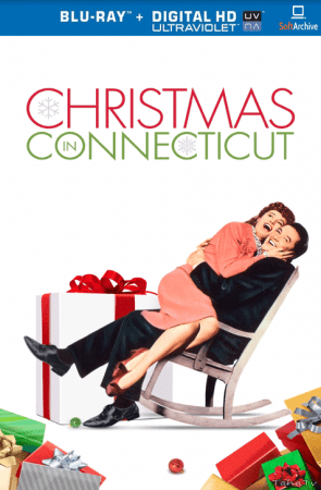 Christmas In Connecticut 1945 480p BluRay x264-mSD