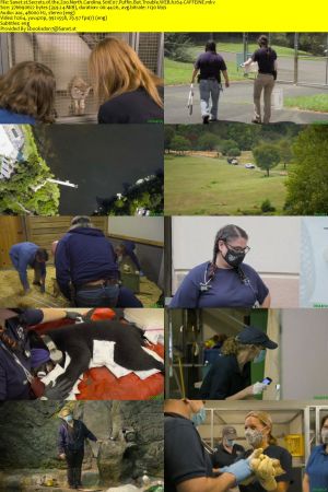 Secrets of the Zoo North Carolina S01 WEBRip AAC2.0 x264-CAFFEiNE