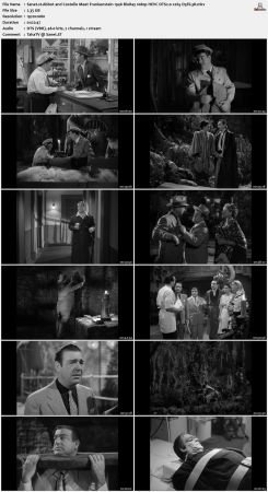 Abbot and Costello Meet Frankenstein 1948 BluRay 1080p HEVC DTS2.0 x265 D3FiL3R