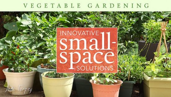 Vegetable Gardening: Innovative Small Space Solutions