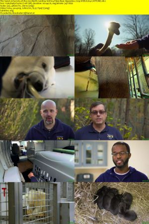 Secrets of the Zoo North Carolina S01 720p WEBRip AAC2.0 x264-CAFFEiNE