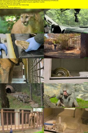 Secrets of the Zoo North Carolina S01 WEBRip AAC2.0 x264-CAFFEiNE