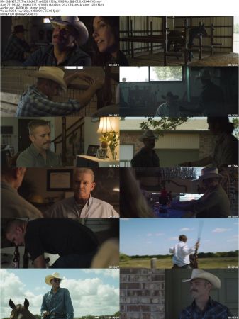 The Rodeo Thief 2021 720p WEBRip AAC2.0 X264-EVO