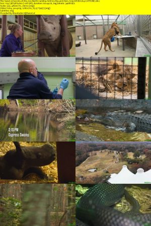 Secrets of the Zoo North Carolina S01 720p WEBRip AAC2.0 x264-CAFFEiNE