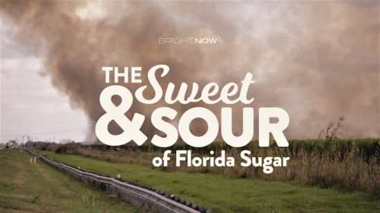 Curiosity TV - Bright Now: The Sweet and Sour of Florida Sugar (2020) 1080p HDTV x264 AAC MVGroup