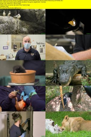 Secrets of the Zoo North Carolina S01 WEBRip AAC2.0 x264-CAFFEiNE
