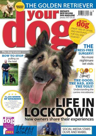 Your Dog Magazine   January 2021