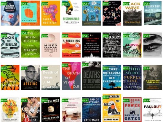 The New York Times' 100 Notable Books of (2020)