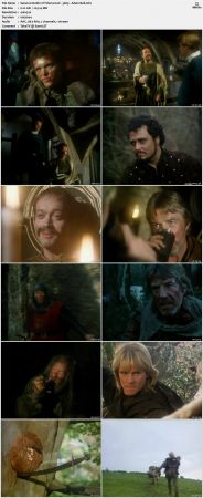 Robin of Sherwood 1984 S03 WEB x264-IC