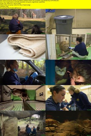 Secrets of the Zoo North Carolina S01 720p WEBRip AAC2.0 x264-CAFFEiNE