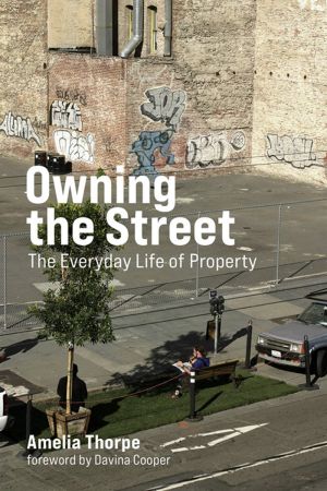 Owning the Street: The Everyday Life of Property (Urban and Industrial Environments)